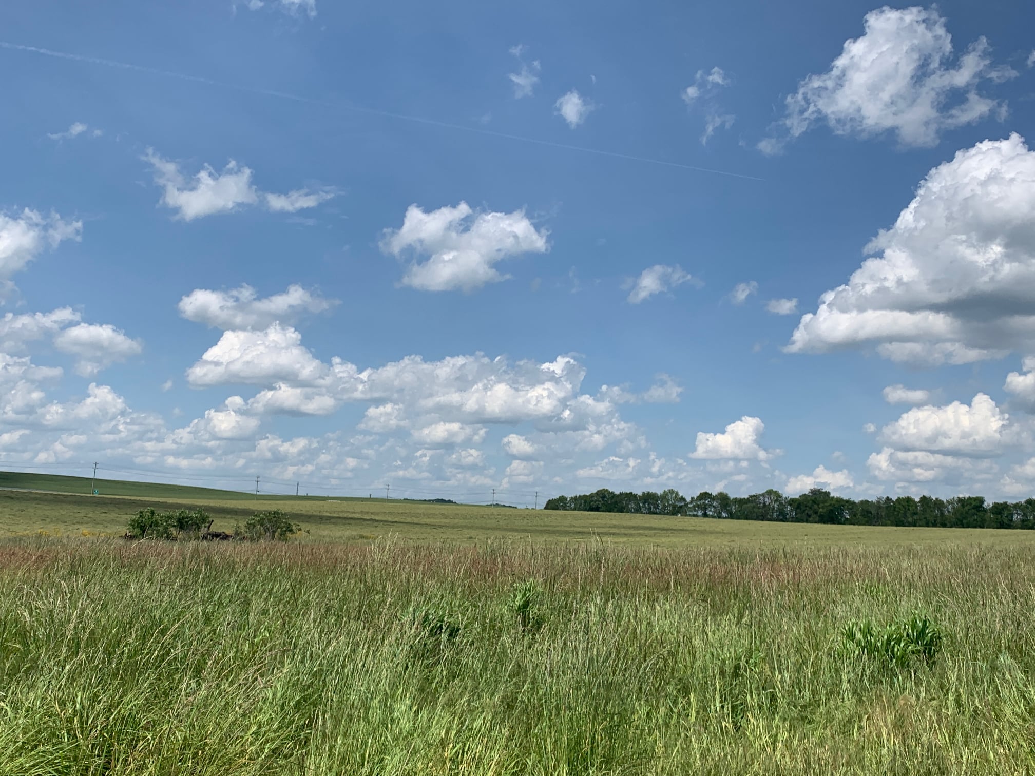 site image